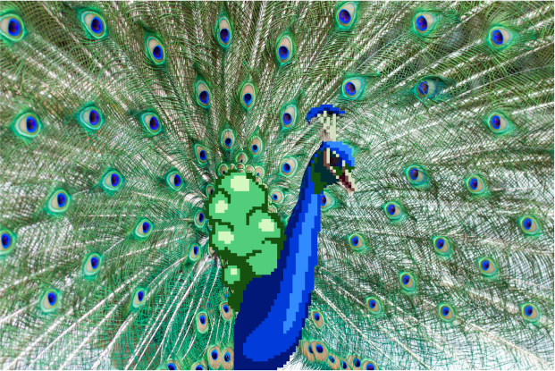 pixel peacock