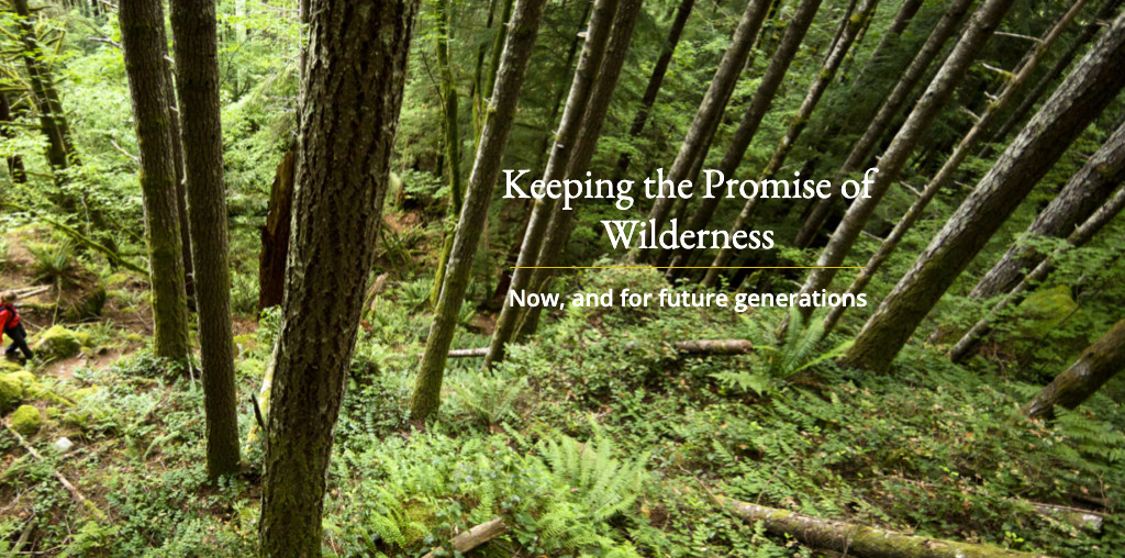 Wilderness Land Trust website screenshot