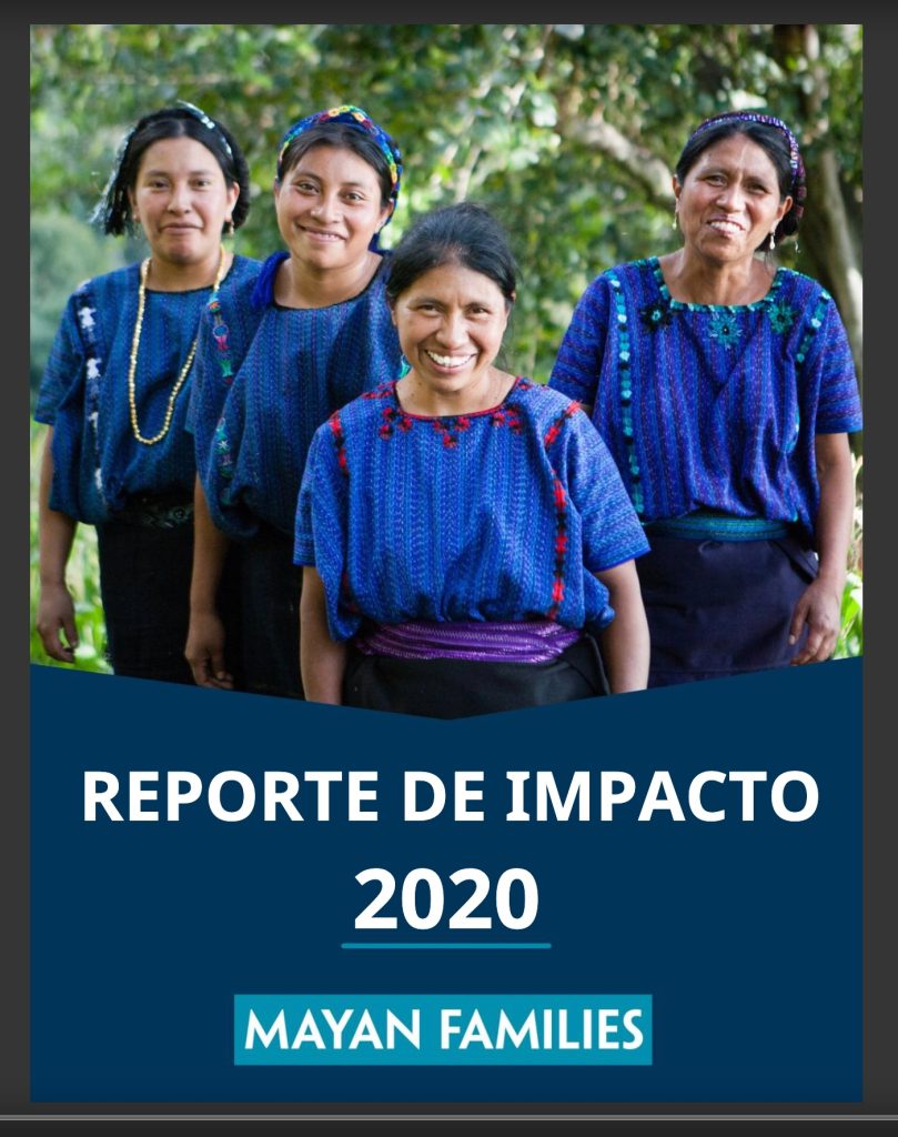 Mayan Families 2020 nonprofit annual report - spanish cover