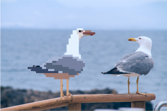 pixel seagulls